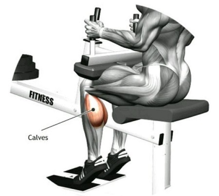 دستگاه بدنسازی ساق پا نشسته دو کاره