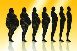 مراحل کاهش وزن