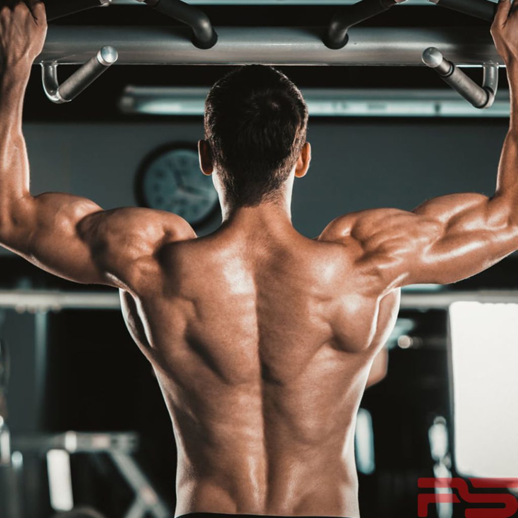 تقویت عضلات پشتی با بهترین حرکات بدنسازی