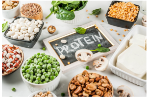 پروتئین و گیاهخواران