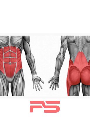 اهمیت عضلات مرکزی بدن